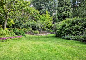 Optimiser l'expérience du jardin à Monceau-le-Neuf-et-Faucouzy